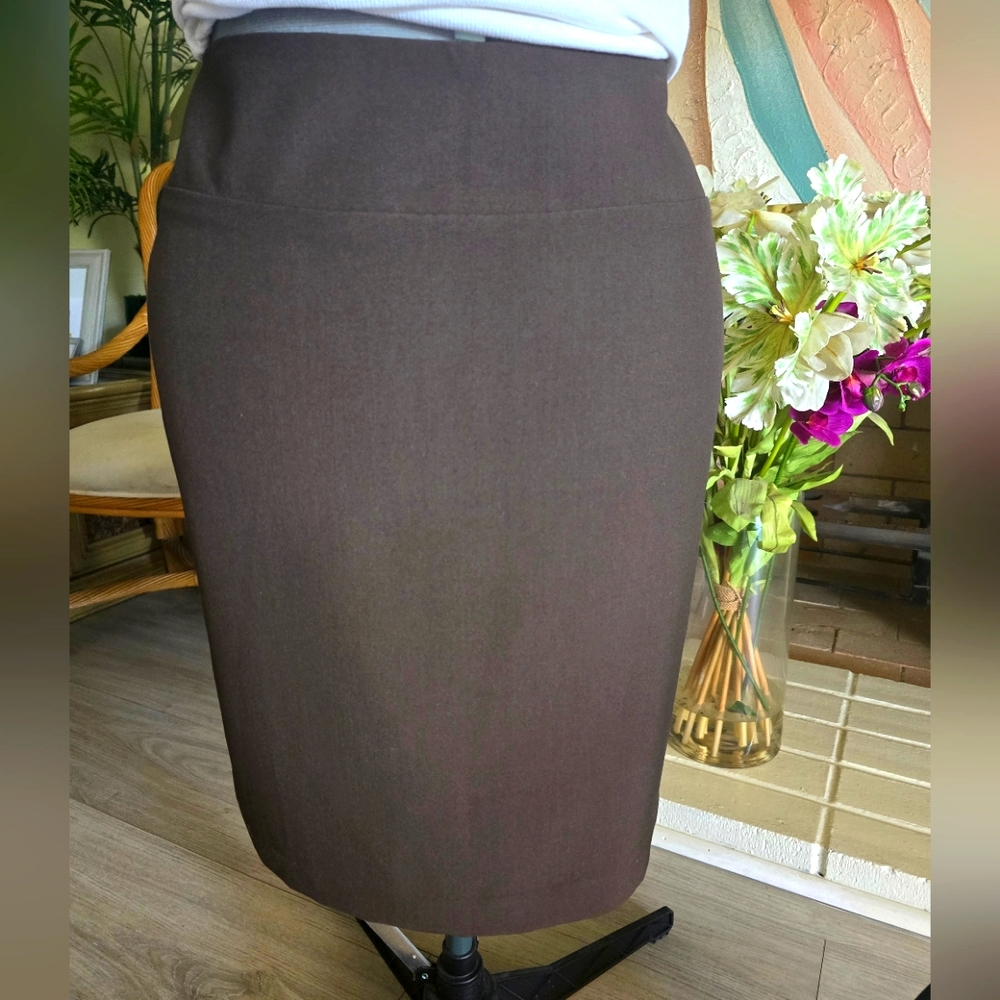 Skirt by Ellen Tracy  EUC